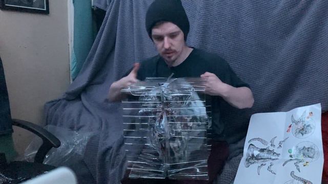 Horizon Forbidden West Collectors Edition. смотреть онлайн