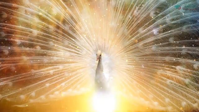 ОЧИЩЕНИЕ, ИСЦЕЛЕНИЕ, НАПОЛНЕНИЕ ДЕНЕЖНОГО ПРОСТРАНСТВА. Ирина Романова смотреть онлайн