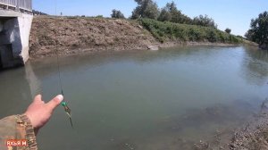 Рыбалка в Дагестане. Охота с братьями на щуку в Кизлярском районе