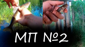 МАРАФОН ПОКЛЁВОК №2.  Редкие Гости.