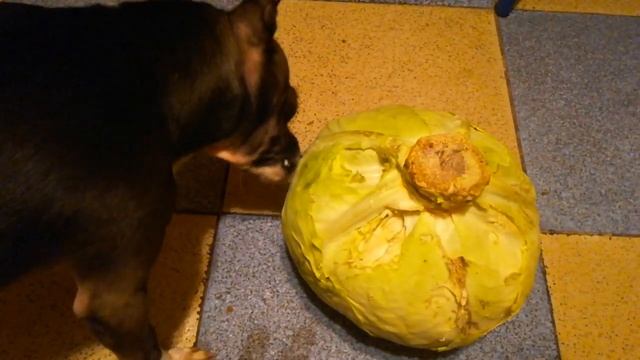 Что делать когда зимой не хватает витаминов? смотреть онлайн