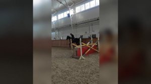 Конкурная тренировкка