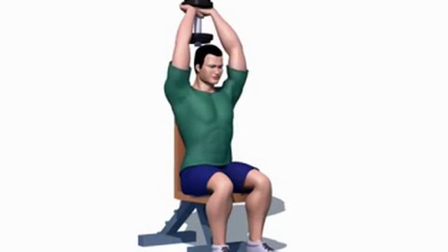 Правильное выполнение - Разгибание рук сидя (гантели) смотреть онлайн