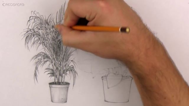 How to draw plants - Easy Perspective Drawing 19 смотреть онлайн