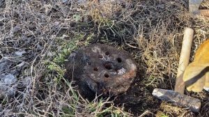 Год ждал, пока селитра сожжет пень на участке. Пришло время узнать результаты эксперимента.