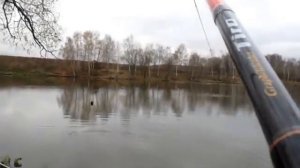 Толстолобик в Сосенках
