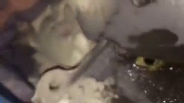 Дыра в верхней части картера Santa Fe 2.7 смотреть онлайн