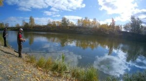 Рыбалка осенью на ФИДЕР НА РЕКЕ Тобол