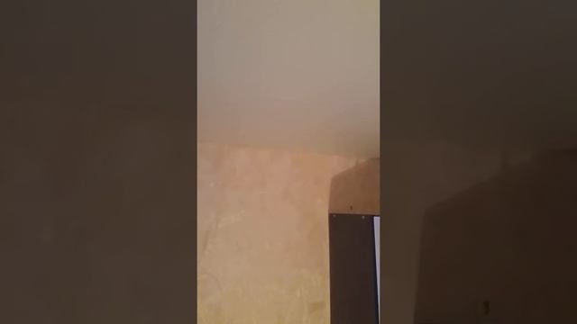 Натяжной потолок. Устранение затопа смотреть онлайн