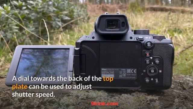 Nikon P950 Review