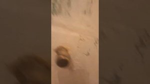 проваливаются прокладки смесителя решение