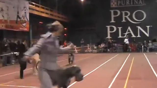 capture0031_mpeg2video.mpg смотреть онлайн