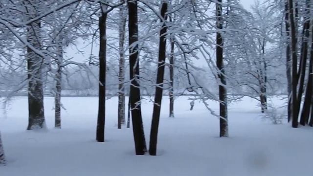Зимняя сказка Гатчинского парка смотреть онлайн