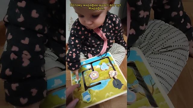 Играем в "Кто где живёт?" #дети, #познаеммир, #учимсяиграя, #играемсдетьми, #shorts