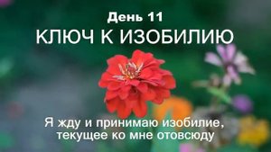 11 ДЕНЬ МАРАФОН ИЗОБИЛИЯ || 21 день изобилия || Дипак Чопра День 11
