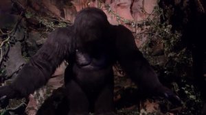 Кинконг жив наше время