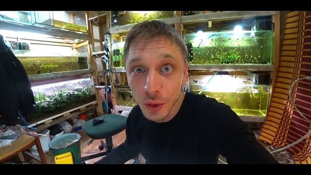 ЖИТЕЛИ ЛУЖ И СОМИКИ ТАРАКАТУМЫ!!!