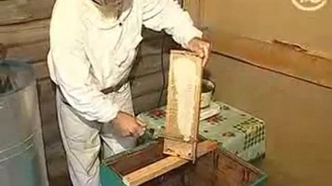 Мед - настоящий и липовый (Как делают мед)