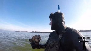 САМЫЙ БОЛЬШОЙ ЛОБСТЕР И ГИГАНТСКИЕ КРАБЫ ПОЙМАННЫЕ РУКАМИ