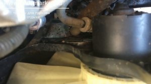 правильная установка лунфэя