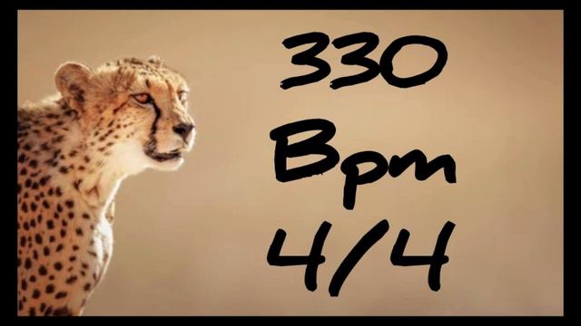 330 Bpm Metronome 4/4 смотреть онлайн