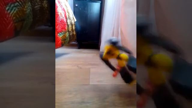 Робот двигается 😮 смотреть онлайн