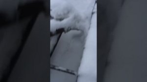 мотоцикл урал на гусеницах (обзор)