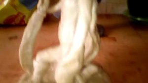 Скульптуры из пластилина