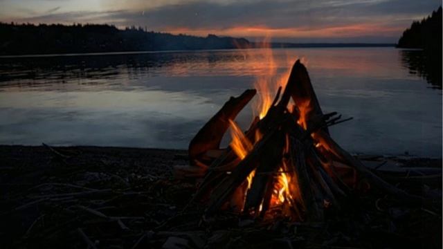 Звуки костра и пение птиц Звуки природы Звуки лета смотреть онлайн