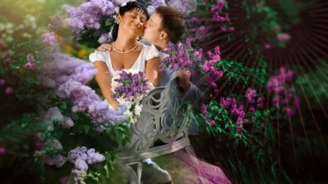 Сирень цветет. Шикарная песня. Послушайте! смотреть онлайн