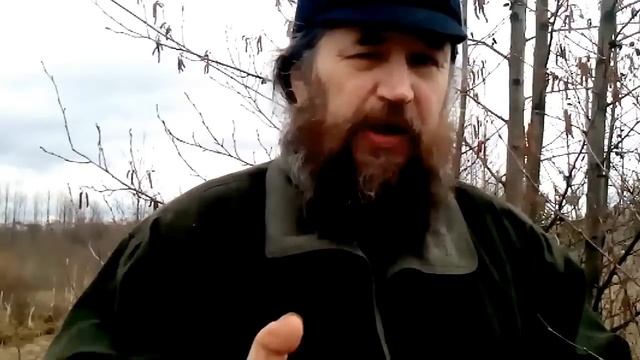 Лечебные цветы ольхи смотреть онлайн