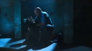 Rise Lucy Liu OTS CARRY MF