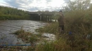 КАРАСЬ ПРЁТ ПО СИВАКОВКЕ.