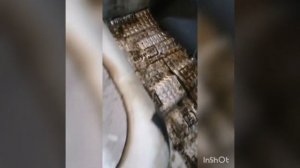 Замена задней части приора, распил часть 1