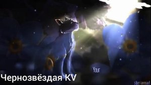 Коты воители. Клип Листопад и Остролистая-Шаг, и нет меня