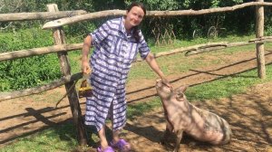 Деревенская СВИНЬЯ садится по команде хозяйки. Жизнь в деревне