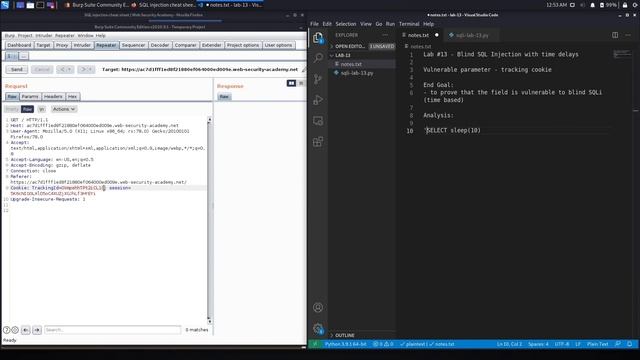 SQL Injection - Lab #13 Blind SQL injection with time delays смотреть онлайн