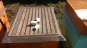 Подготовка к зимовке в ппу ульях на воле Верхняя вентиляция