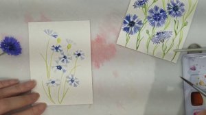 #170 Simple and easy watercolor bachelor button flowers