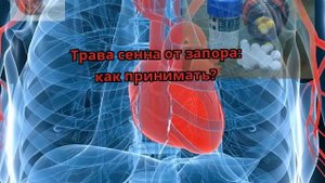 Трава сенна от запора: как принимать?