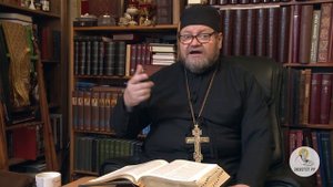 Евангелие от Матфея. Глава 28. Протоиерей Олег Стеняев. Толкование Библии. Толкование Нового Завета