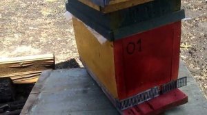 "Альпийский улей", рамки на 210 или на 108 мм.?