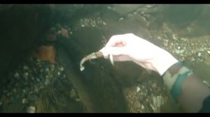 НАШЕЛ АЙФОН И ПИСТОЛЕТ В РЕКЕ Лучшие находки за 2016 год