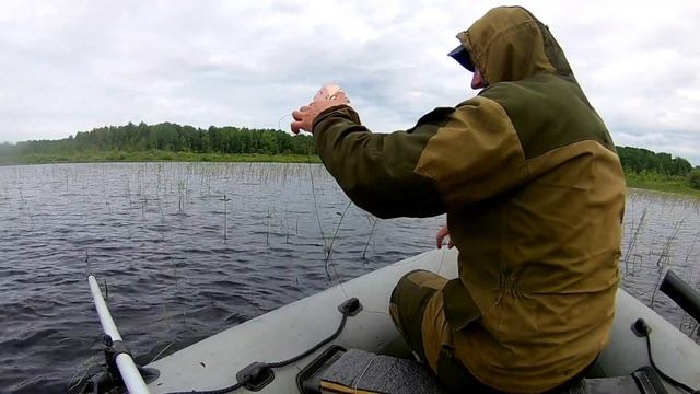 Трофейная рыбалка! Хищник лютует! Ловля Щуки на спиннинг и кружки! смотреть онлайн