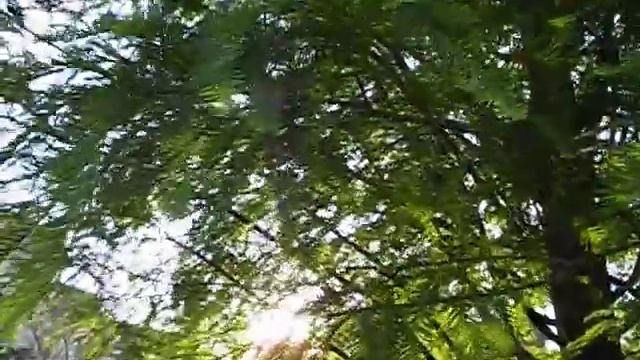 【KODAK EASYSHARE M200】VGA / 測試B смотреть онлайн