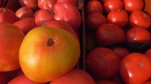 КАКИЕ ТОМАТЫ САМЫЕ СЛАДКИЕ? Ольга Чернова.