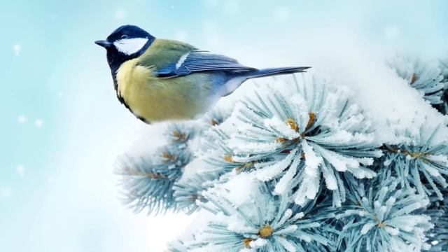 Продав всё и приехав к жениху в другой город, Надя даже не предоставляла, что её ждет в его доме смотреть онлайн