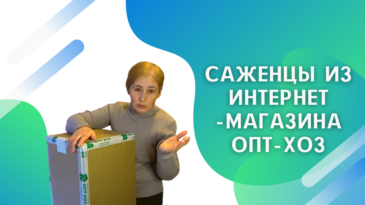 Саженцы из интернет-магазина. Стоит приобретать или нет?