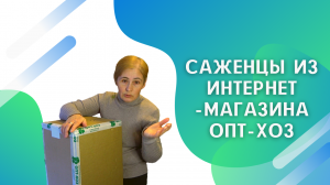 Саженцы из интернет-магазина. Стоит приобретать или нет?
