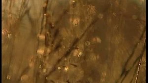 Фильм 12. Третья часть Символа веры.